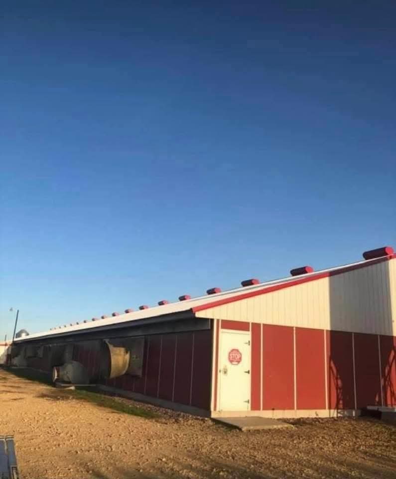 service-1 1000025803